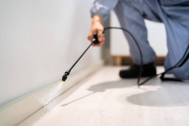 Licensed Mosquito Control service in Stormstown, PA - Show Me Pest Control